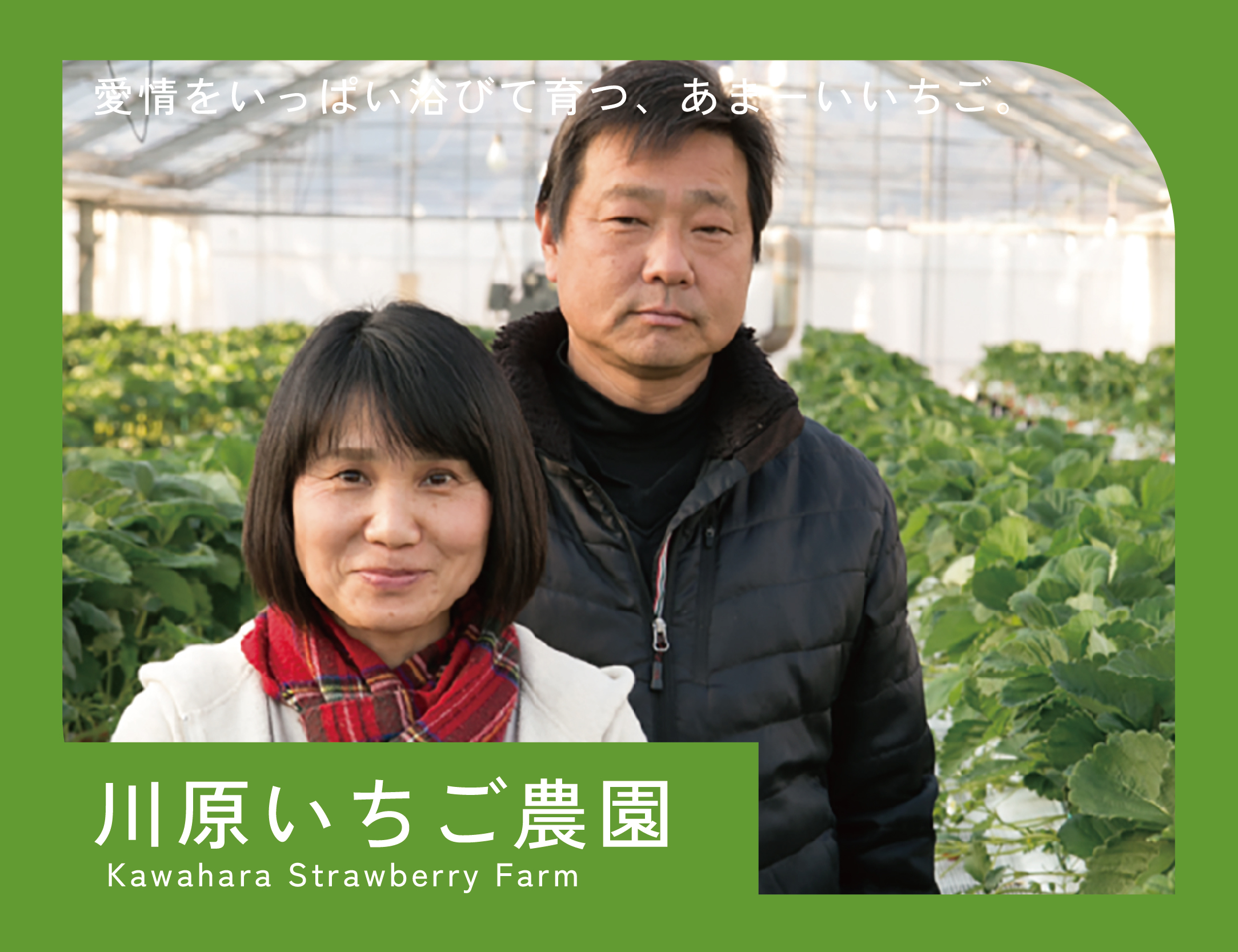 가와하라 딸기 농원